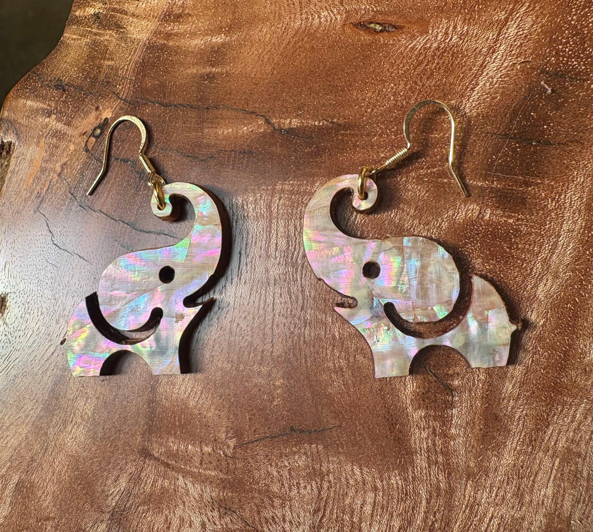 Abalone elephants